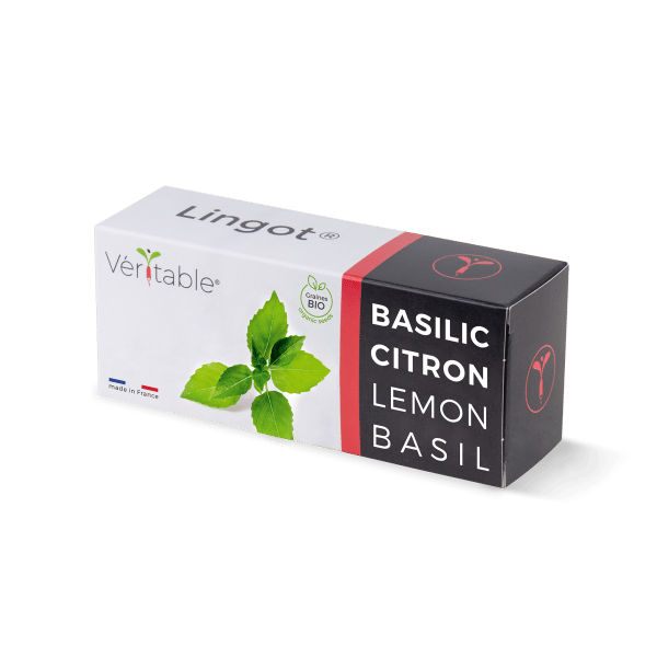 citron basilikum